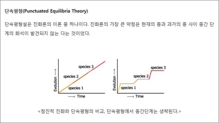 단속평형