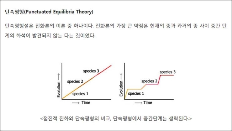 단속평형 단속평형